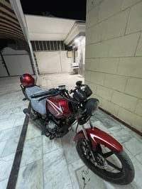 شاينك 2024 • نضافة ١٠٠ • طالع من الوكيل