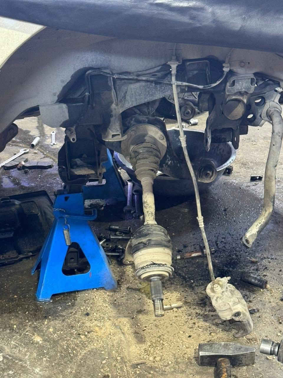 من مجمع حبتور لصيانة الباجيرو سياره الاخ ابومروان  من
محافظه بابل  تبديل صدر مامي تبديل مشط ستيرن مع سيرفز عام   البياع تقاطع درويش مدخل حي التراث مقابل مطعم ضلوع ومندي  

ابوعلي الدراجي

***********

***********

***********
