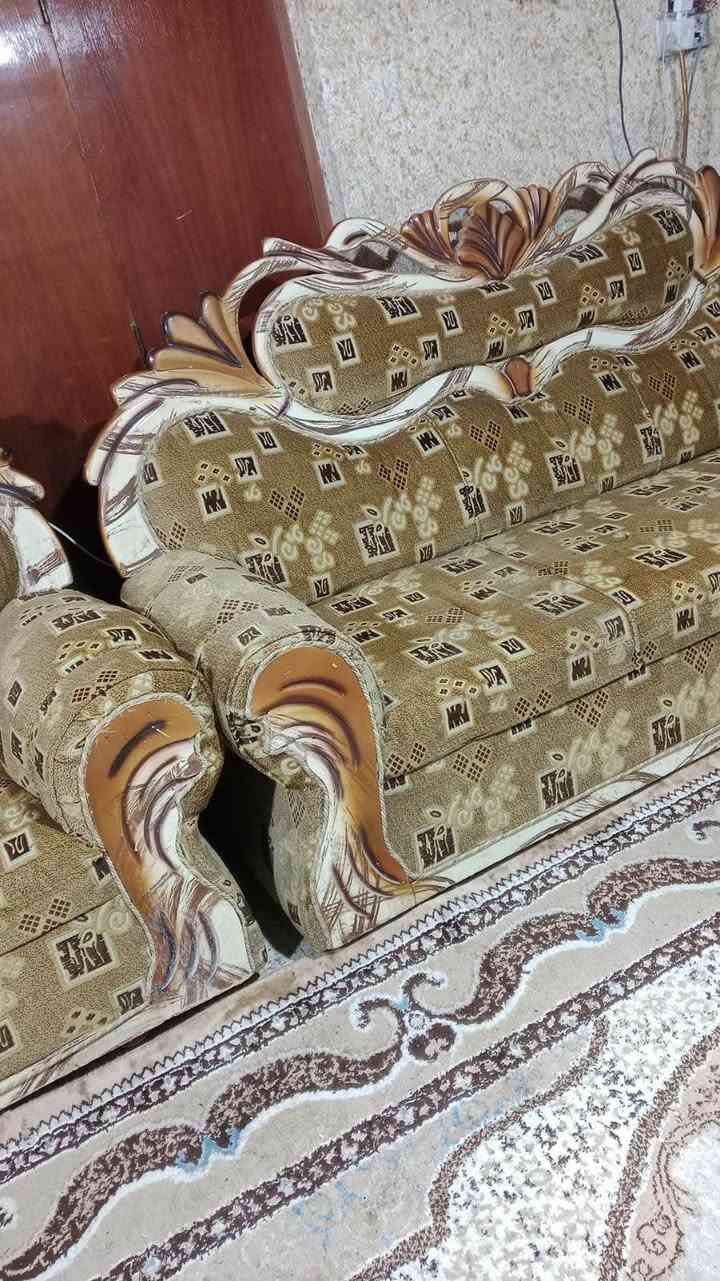 تخم قنفات للبيع
الاتصال *********** ناصرية, ذي قار
