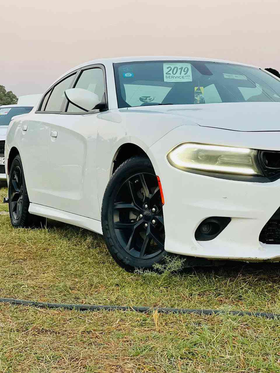 دوج تشارجر 2019 اصل بغداد بسمي دولي

 حادثها جاملغ وبنيد صبغ سونار مع الصور 

مواصفات اصل  جيتي 

مكينه وگير 3600 توه ويل 

كشنات دبل حضن 

رادار جانبي+  حساسات

شاشه كبيره +كامره بلاد

شفتات استيرن 

مرايه وسطيه تعتيم الضوء

السياره جاهزه اخر حبايه ادامه عامه مكينه وكير

 وحداده ولايت زنون وباتري وتبريد كله جديد 

العنوان ذي قار الشطره *********** واتساب

السعر 205 وبيها مجال للشراي
