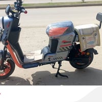 دراجة شحن • ٢٠٢٦ • مستخدم يوم واحد