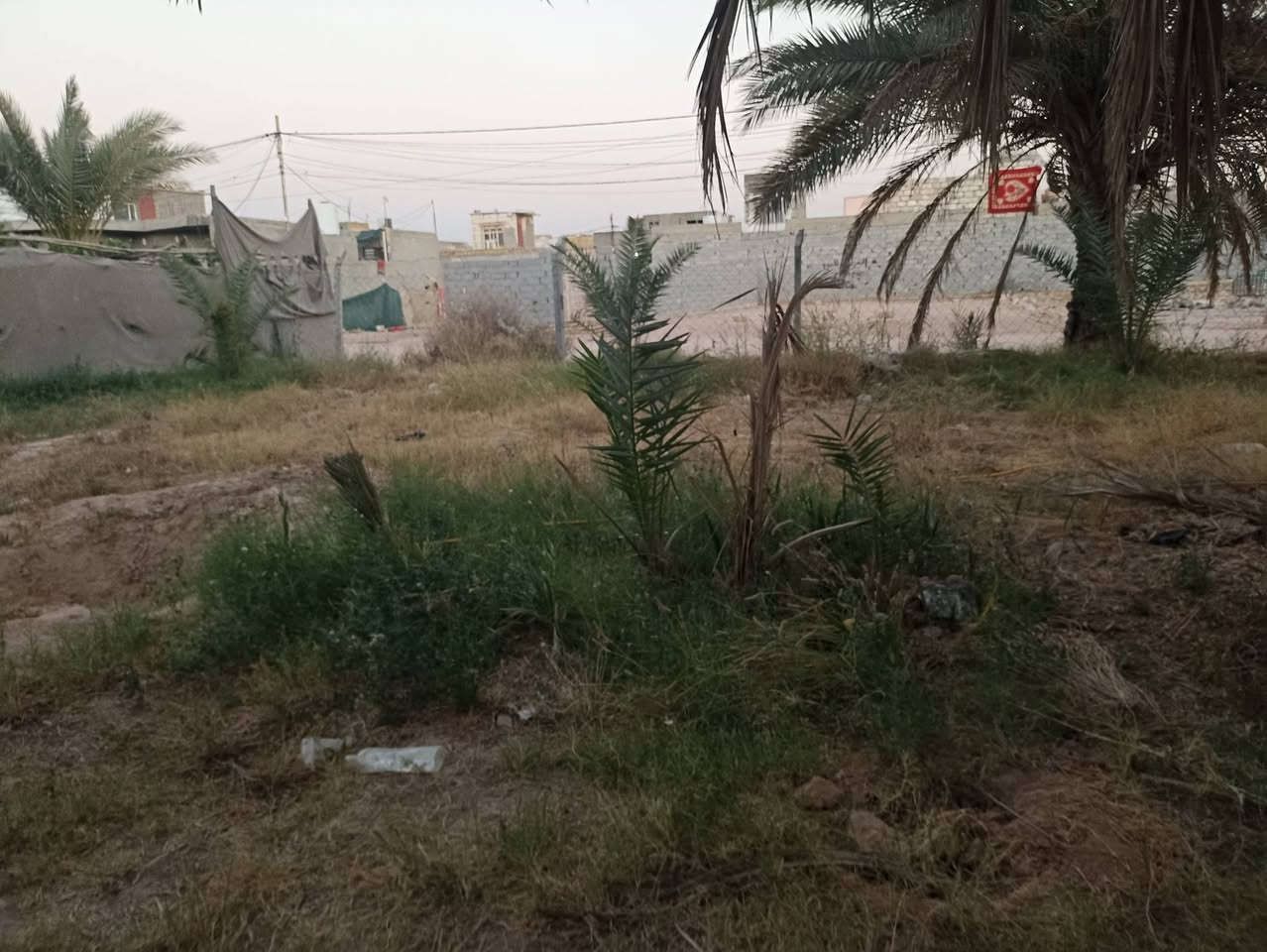 قطعة زراعية للبيع 600 متر طابو زراعي بحي ميسان قرب سكلة الكرعاوي بشارع الزوار قرب أسواق الميالي بيها نخل حمال مع جميع الخدمات منطقة سكنية متكاملة 
للاستفسار ***********
