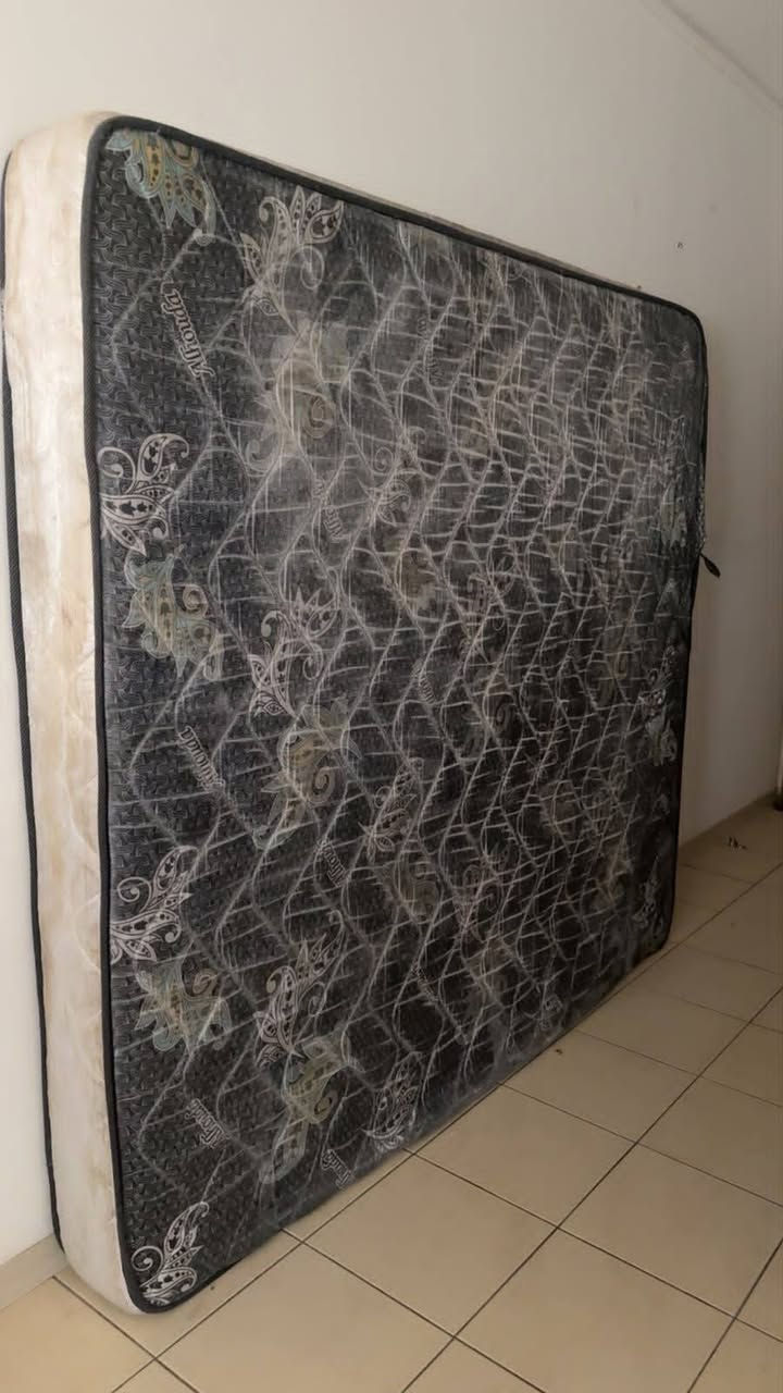 دوشك نفرين نظيف لانازل ولاشي ماخذي 160
قفله 50 ليريدة يراسلني


**إذا كنت صاحب هذا الإعلان وتريد حذفه لأي سبب، رجاءا أرسل رسالة إلى الدعم الفني**