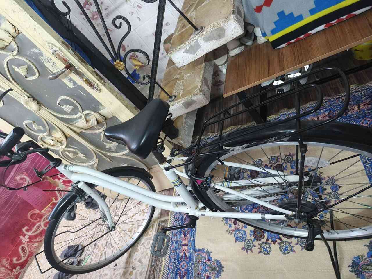 سلام عليكم باسكل للبيع مديل22حجم26 نضافه 95 السعر 90وبي مجال لطيبين رقم الموبايل ***********المكان النجف الاشرف الحولي
