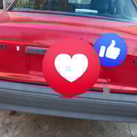 كاديت • نظيف • فحص صلاح الدين