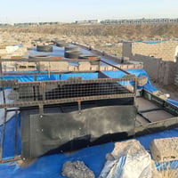 جنج للبيع 07813427976