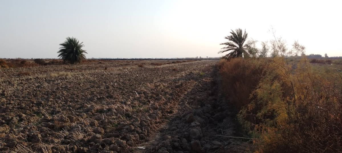 ارض زراعيه للبيع مكان ال عواد للتواصل ***********
