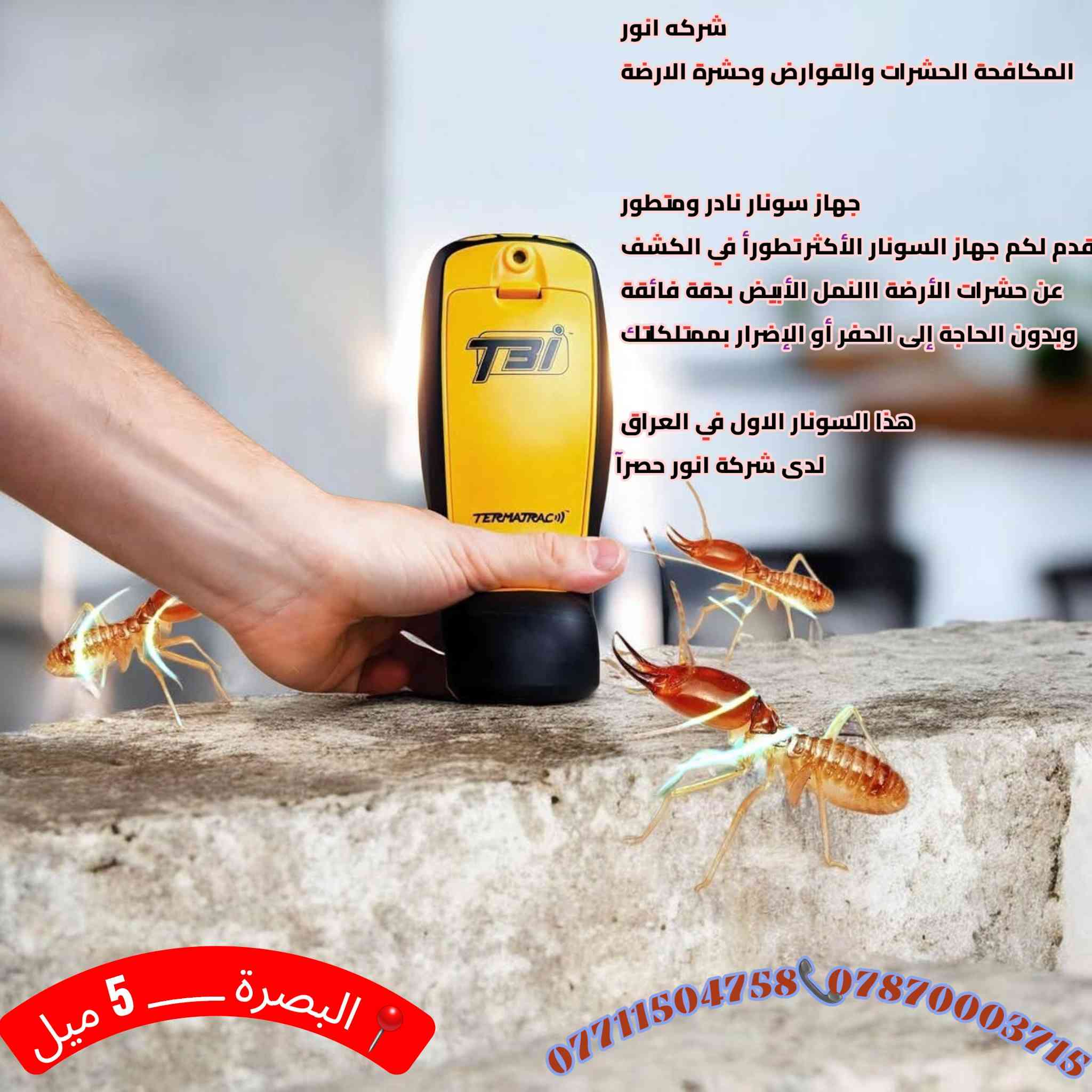 مع اقتراب فصل الصيف وارتفاع درجات الحرارة، تبدأ

 الحشرات والقوارض وحشرة الأرضة بالانتشار داخل
 المنازل والمخازن والشركات.

شركة أنور لمكافحة الحشرات والقوارض وحشرة الأرضة

 توفر لكم أفضل الحلول الوقائية والعلاجية باستخدام أحدث الأجهزة والمبيدات الآمنة وبإشراف كادر متخصص.
نضمن لكم بيئة نظيفة وآمنة وخالية من الآفات مع سرعة في الاستجابة ودقة في العمل.
خدماتنا تشمل: رش المنازل، الشقق، المطاعم، المخازن، الشركات، وعقود صيانة دورية.

(معئ ضمان 5 سنوات لمكافحه حشره الارضه )

💳 الدفع نقدي وإلكتروني متوفر

اتصلوا بنا الآن وخلّوا راحتكم علينا.
📞 ***********
📞 ***********
📍 البصرة –5ميل نعمل في جميع محافظات العراق
