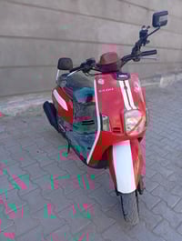 ماكس بوليس 2010 • كفالة عامة • طوريج