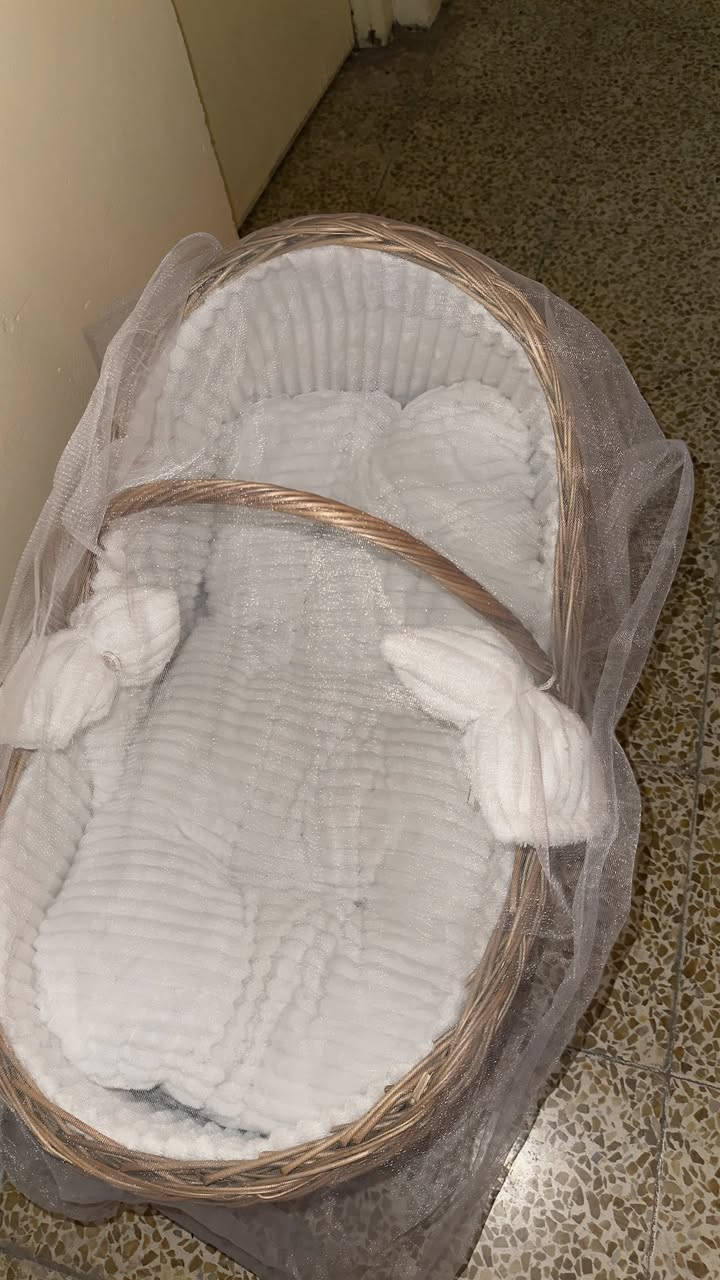 للبيع كريكوت عش العصفور هزاز مع تول و سرير اطفال هزاز اثنينهم استخدام شهرين فقط الكريكوت الطول 65 سم والسرير الطول 75 سم السعر 65 الف اثنيهم


**إذا كنت صاحب هذا الإعلان وتريد حذفه لأي سبب، رجاءا أرسل رسالة إلى الدعم الفني**