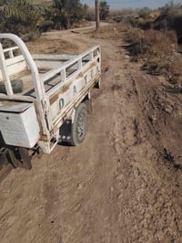 شاحنة • ١٣ • اوراق