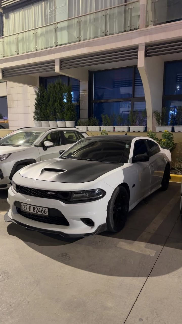 للاستفسار *********** 
سياره موديل ٢٠٢١ srt daytona عليها داون بايب من امريكا ومتبرمجه هنا ومن طبت هنا رجعت تبرمجت السياره 540 WHP ما عليها اكزوست برمجه طلقات  وسيفتي
