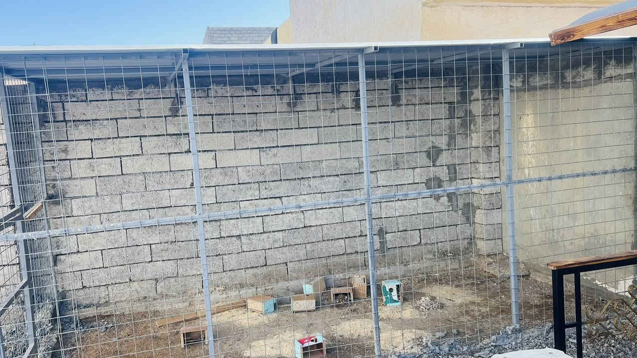 السلام عليكم اخواني الاعزاء للبيع سقيفه الطول ٦الى ٧والعرض ٤
جينكو ثقيل جديده ونضيفه حيل والقفص الطول ٥والعرض مترين والارتفاع مترين وجديد فصالهن جديد صارلهن ٤تشهر  لاستفسار
 ع الرقم ***********
