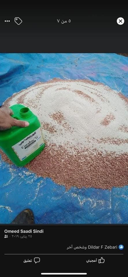 الأساتذة الأكادميين والباحثين عن الدراسات العضوية الصديقة للبيئة والمزارعين المتميزين وخاصة في حقول البطاطة والطماطة والحنطة.          
                  Corabac G           
سماد حيوي بكتيري – من شركة Corax-Bioner Biotechnology
الهنكارية 
حصريا في مكتبنا . والمنتج الفريد في العراق. منذ عام 2022 تم استخدامه. 
في أبحاث كثيرة أجريت في كليات الزراعة 
في الموصل وإقليم كردستان. 
🌹وهو منتج ميكروبيولوجي يحتوي على بكتيريا نافعة لتحسين خصوبة التربة ونمو النبات.
🌹 مكونات Corabac G 
🥀يحتوي على خليط من بكتيريا التربة المفيدة:
البكتيريا وظيفتها🍁
Azotobacter chroococcum تثبيت النتروجين من الجو في التربة
Bacillus megaterium
🌹 إذابة الفوسفور غير المتاح للنبات
Pseudomonas putida
🌹 تحفيز نمو الجذور ومقاومة الأمراض
مع مواد عضوية حاملة تساعد البكتيريا على البقاء في التربة.
🌹 فوائد Corabac G الزراعية
هذا المنتج يعمل مثل مخصّب حيوي للتربة وليس سماد NPK عادي.
🌷أهم فوائده:

1️⃣ زيادة النتروجين الطبيعي
بكتيريا Azotobacter تأخذ N₂ من الهواء وتحوّله إلى نتروجين تمتصه الجذور
🌷 يقلل حاجتك لليوريا أو DAP
2️⃣ تحرير الفوسفور المثبّت
Bacillus megaterium يحوّل الفوسفور المترسّب في التربة إلى شكل متاح للنبات
➡ يزيد عدد الجذور، التزهير، والعقد
3️⃣ تقوية الجذور
Pseudomonas putida:
تحفّز إفراز هرمونات نمو
تزيد طول وكثافة الجذور
تقلل فطريات التربة الضارة
4️⃣ تحسين بنية التربة
يرفع النشاط الحيوي
يزيد احتفاظ التربة بالماء
يخفف الملوحة والقلوية بمرور الوقت
🌹Corabac G يساعد في:
🍁تسريع التفريع
زيادة عدد السنابل
🍁امتلاء الحبوب
🍁تقليل الإجهاد من الملوحة والأسمدة الكيماوية
🌺 هل هو سماد أم بكتيريا؟
هو سماد حيوي (Bio-fertilizer)
يعني:
🍁 لا يعطي غذاء مباشر، بل يجعل التربة تنتج الغذاء للنبات
⚠️ ملاحظات مهمة
لا يخلط مع:
المبيدات القاتلة للبكتيريا
المطهرات
الأدويةالنحاسية. 
🌸 سارعوا بالحجز. الكمية محدودة جدا.***********
***********
ومن الله التوفيق والنجاح🌹🌹🌹🌹🌹🌹
