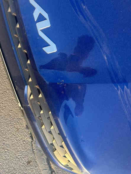 كي فايف خليجي ٢٠٢٣ كفالة عامة عدا الرصعات موضحة بالصوره
رقم  مثنى معوقين  ومضمون المعوق
مكينة 2500
 ماشية 58
السعر186 
المثنى وللتواصل ***********
