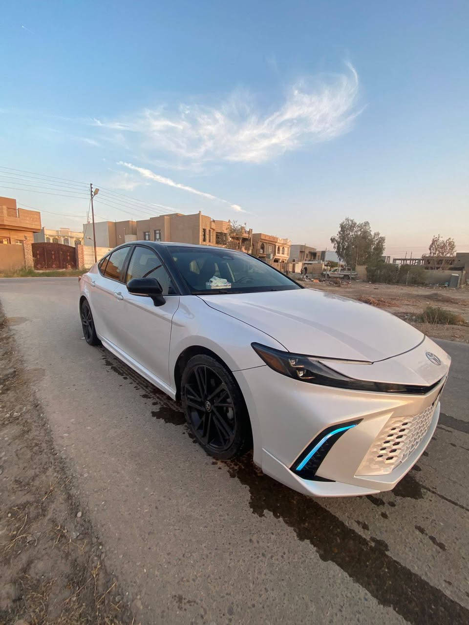 فول مواصفات *********** بغداد, العراق
