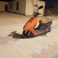 فراشة • كفرات • ٢٧٥
