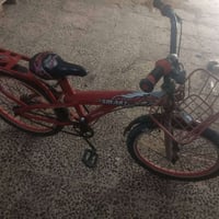 باسكل طفل • عمر ١٣ • يحتاج ترتيب