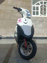 ماكس عدله • كفالة عامة • بصرة ابو الخصيب