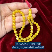 بولوني • حر طبيعي