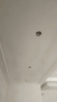 07715594313  جميع اعمال الديكورات الحديثه   جبس امبورد  وسحب ملكي  تغل...