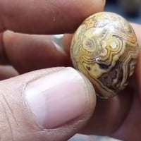 داودي • قديم • مراوس