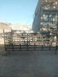 محجر • بنگو ٨ چنكال • مرتب