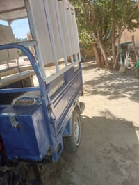 ستوته • موديل ٢٠٢١ • كفالة عامه