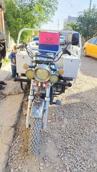 ستوته ٢٠٢١ • أوراق كاملة • نضيف