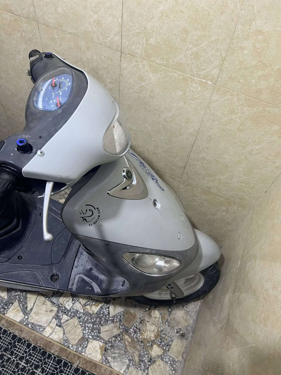 للبيع بلاد ٤٩ ما مفتوحه مكان نجف حي العسكري مدارس متوازي


**إذا كنت صاحب هذا الإعلان وتريد حذفه لأي سبب، رجاءا أرسل رسالة إلى الدعم الفني**