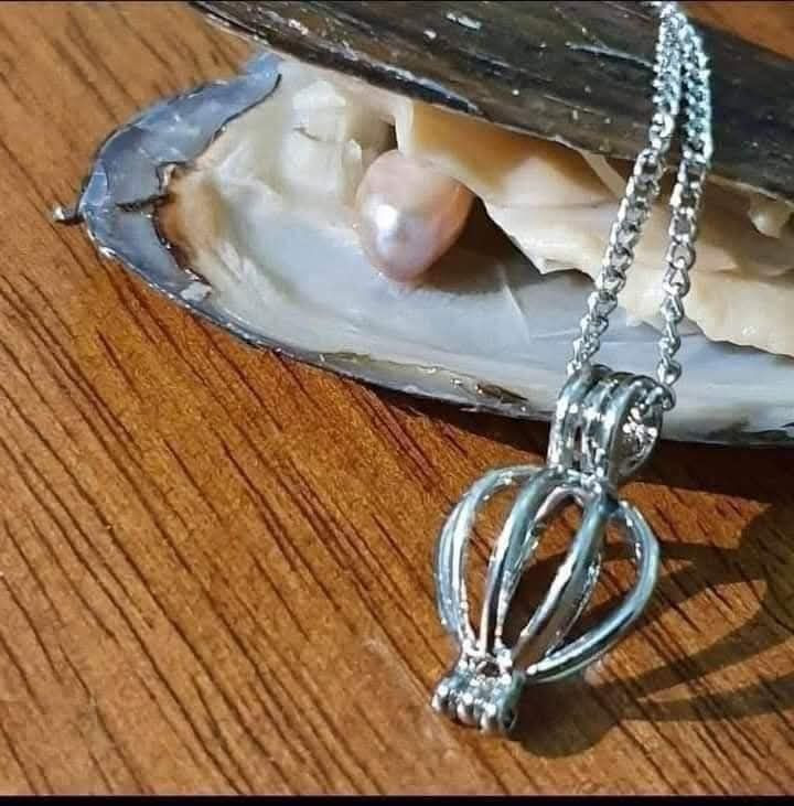 #قلادة اللؤلؤة محار طبيعي وليس صناعي 🦪🌟
قلادة اللؤلؤة الطبيعية

بكج متكون من محارة حقيقة مستخرجة من البحار بداخلهة لؤلؤة + قلادة 🦪🤩🐚

عبارة عن علبة بدخلها محارة بداخل المحارة لؤلؤة 🐚🦪🦪
بعد مطلعون اللؤلؤة من المحارة
تخلوها بداخل القلادة 🐚🤍

أنت تستخرج اللؤلؤة بيدك


**إذا كنت صاحب هذا الإعلان وتريد حذفه لأي سبب، رجاءا أرسل رسالة إلى الدعم الفني**