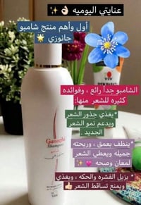 شامبو • جانوزي