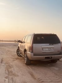 يوكن دنلي • ٢٠٠٧ • مصبوغة جمالية