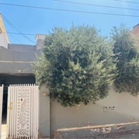 حي المعلمين الجديد • ٢٥٠م • ينباع نصفين