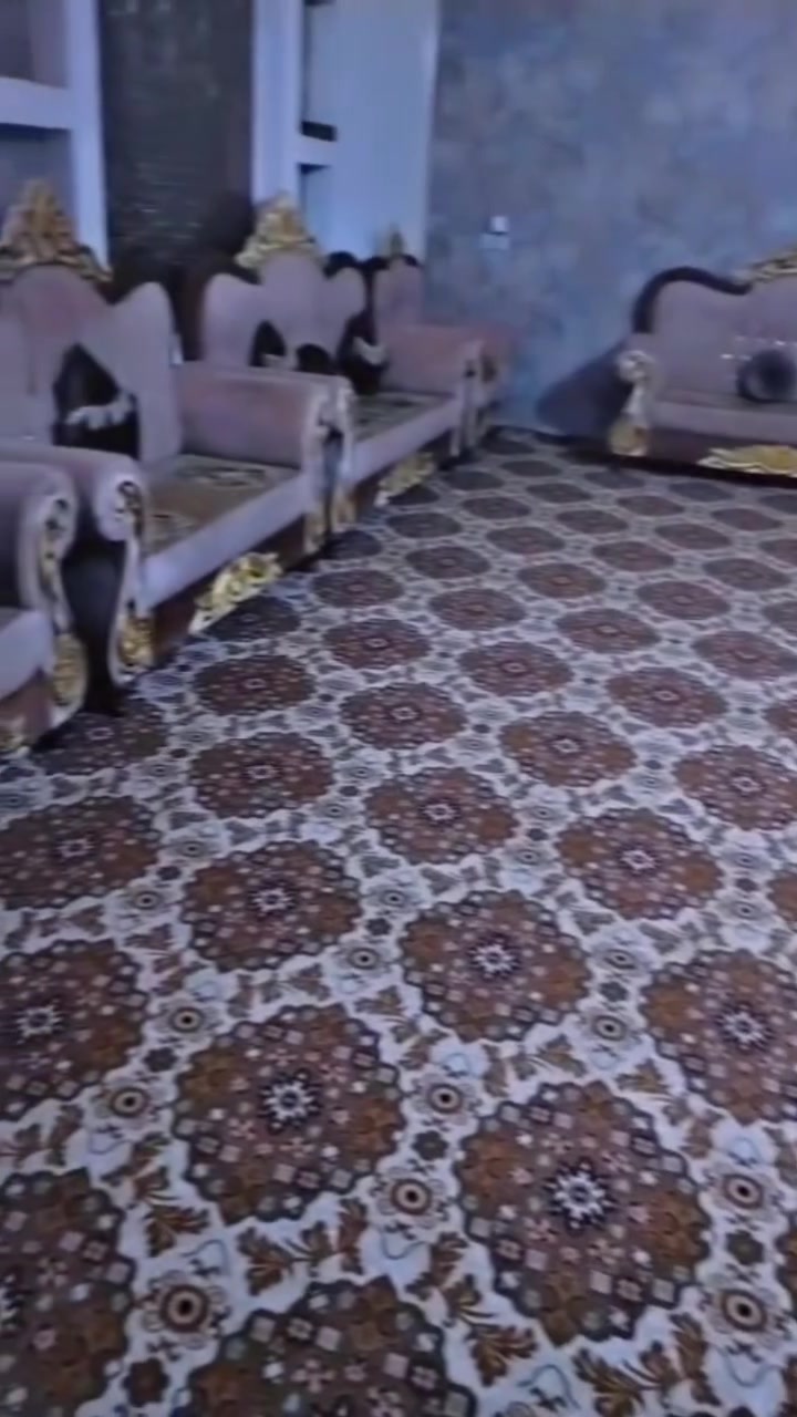 تخم ملكي للبيع
اثنين تخامه. للبيع #مستعجل


**إذا كنت صاحب هذا الإعلان وتريد حذفه لأي سبب، رجاءا أرسل رسالة إلى الدعم الفني**
