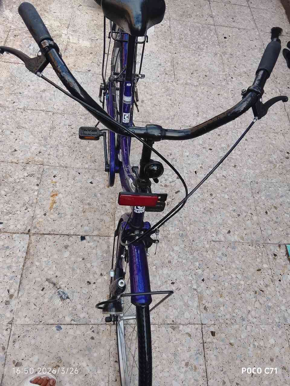 بايسكل بناتي للبيع شركه كلوف 
مديل2022
بيسكل صارلي سبوع خذيته ورد ابيعه حتاجيت بيسكل رمبه نزلته ب140قفله ب110 عنوان بغداد شارع فلصطين


**إذا كنت صاحب هذا الإعلان وتريد حذفه لأي سبب، رجاءا أرسل رسالة إلى الدعم الفني**