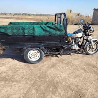 ستوته • موديل ٢٠١٨ • ديوانية دغارة