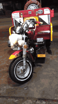 ستوته للبيع مديل 2021 ستوته نضيفه مكينه شاصي بدي كشره خير من الله  سعر...