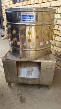 هلاسه دجاج • شغاله • الكارضيه