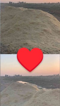 ٥ • عربانه