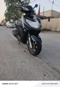 سكنس فحل • ياباني • مرقّم باسمي