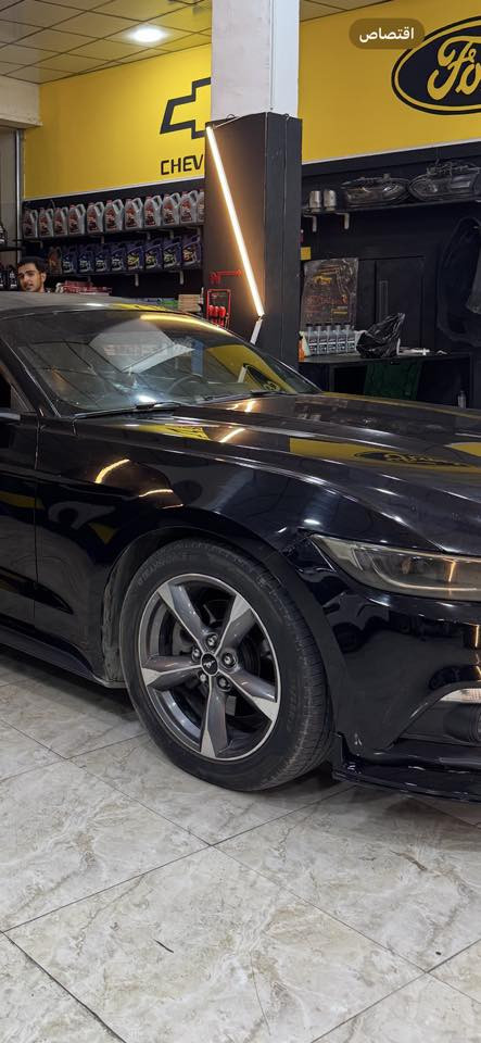 السلام عليكم 

تخم ويل بلادي  18 225   الف

زوج ويل ويلد شفه العريضة حجم 18   325 الف 

الوياله نظيفة لافطر ولاعواج ولاتصليح 

***********
