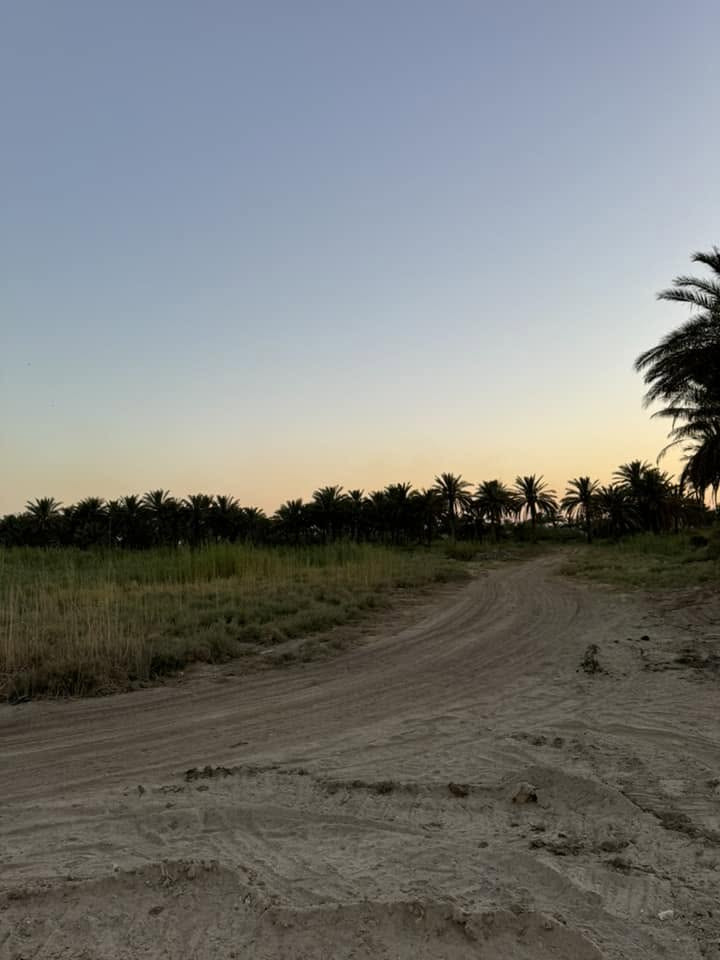آرض لبيع المساحه ٣دونم نهر الفرات 
ماي كهرباء تبليط 
طريق العلماء 
الأستفسار ***********

