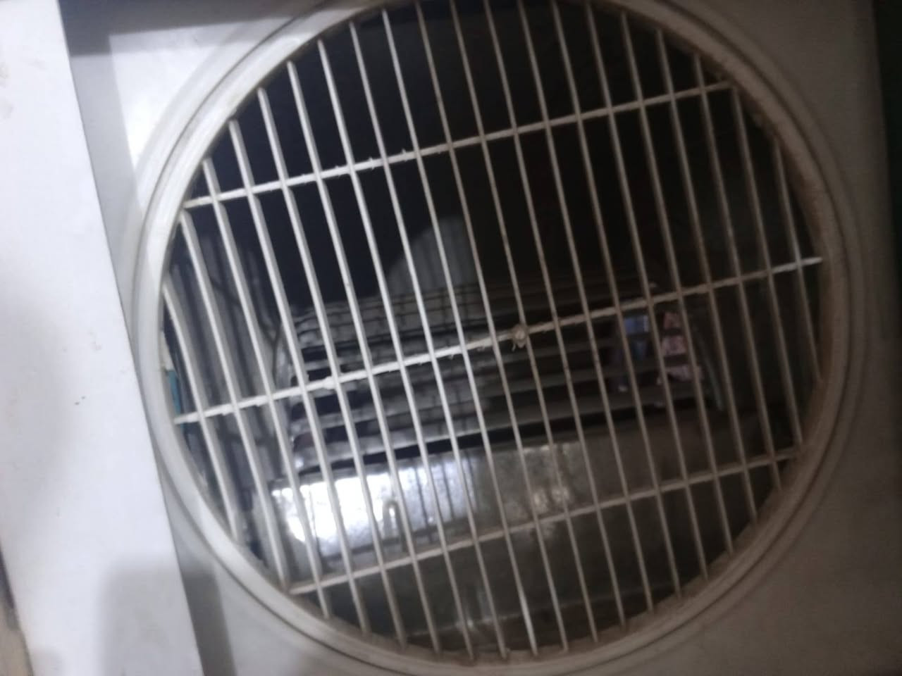 مبرده للبيع جديده هذا لموسم اشتريناه مرتسن مشغليه سعره 150قفل شرط لفحص و3سرعات رجاءا سعر قفل بدون عمله مكانه كربلاء خلف مستشفى لولاده جديده جديده تجون وشوفون بعينكم كربلاء, العراق


**إذا كنت صاحب هذا الإعلان وتريد حذفه لأي سبب، رجاءا أرسل رسالة إلى الدعم الفني**