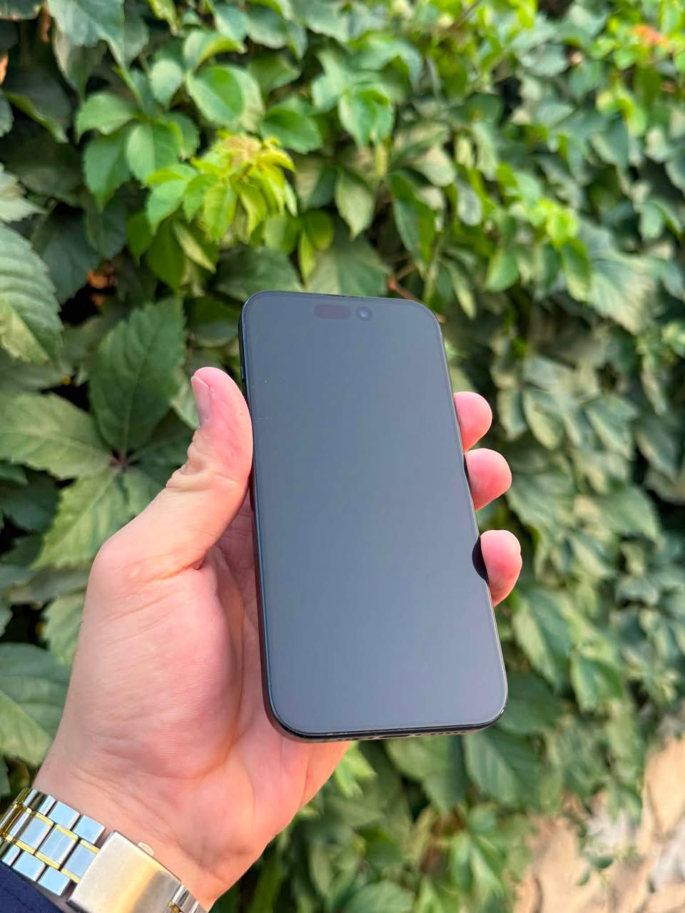 IPhone 15 pro
ZA/A
2 سیم
128 گێگا 
پاتری 87 بیلاد 
%95 خاوێن 
شاشەی تاڵە موو شوختی نیە 
بە زەمانی یەک هەفتە 

نرخی 565 $دۆلارو مەجال 
***********
واتساپ📞
