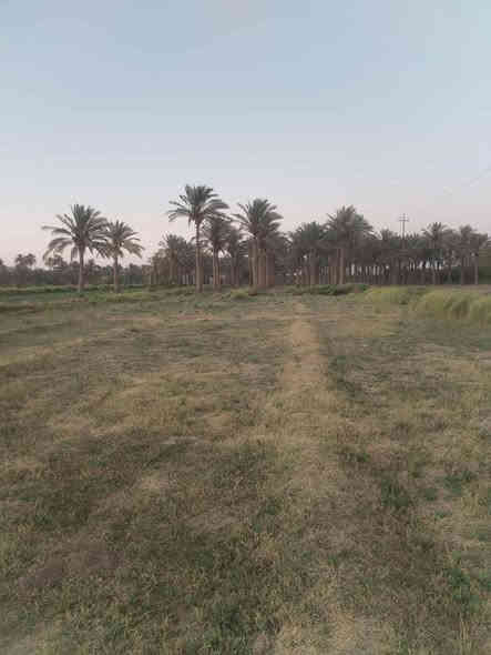 قطعه سند زراعي 25 اطراف البستان 989 متر ترهم مزرعه وترهم سكن كهرباء ومي واصلها مكانها الشهابي الاولى خلف معمل الحراريات السعر
14 وبيها مجال بسيط 
***********
