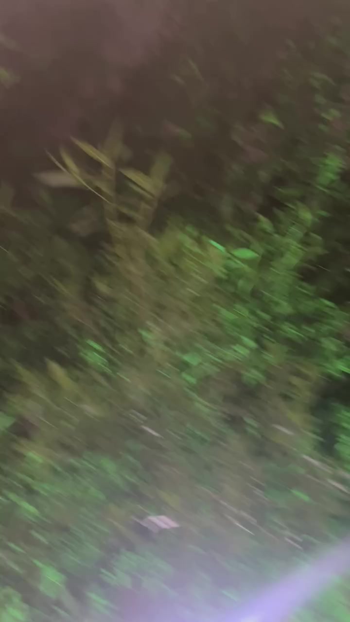 سلام عليكم دراجه للبيع سعرها مليون و٣٠٠ وبيها مجال عنواني مشتل شارع اجتمع ‭٠ ٧٧٦ ٠٣٦ ٦٤٥٥‬
