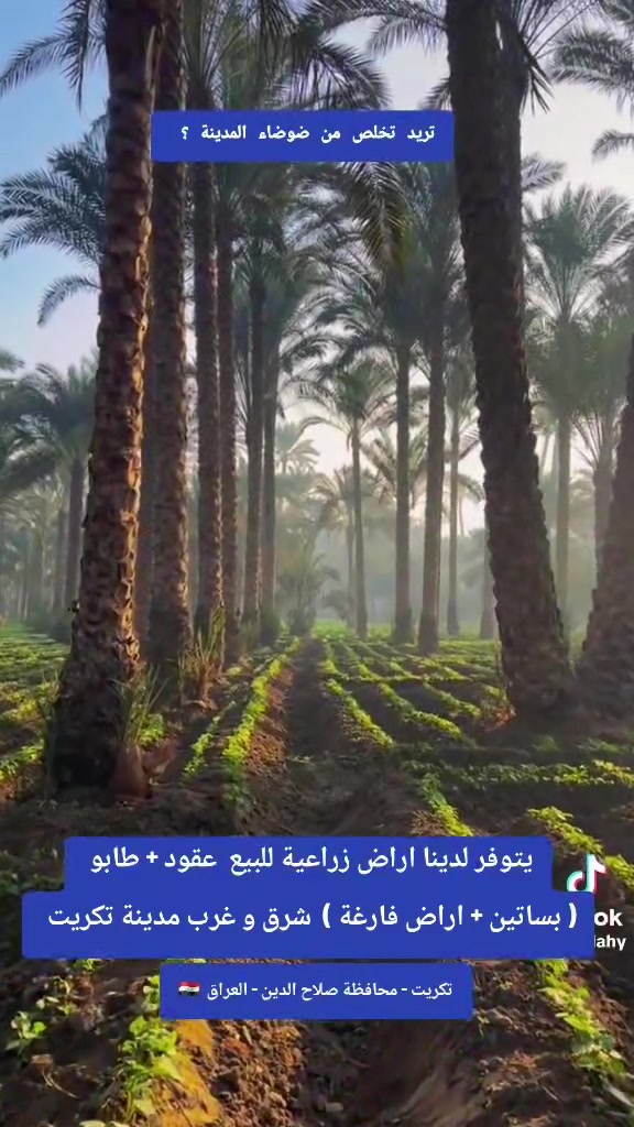 تريد تخلص من ضوضاء المدينة ؟ 
الحل يمنا يتوفر لدينا اراض زراعية للبيع  عقود + طابو 
( بساتين + اراض فارغة ) شرق و غرب مدينة تكريت 
تكريت - محافظة صلاح الدين - العراق 🇮🇶
*********** 📱
*********** 📱

