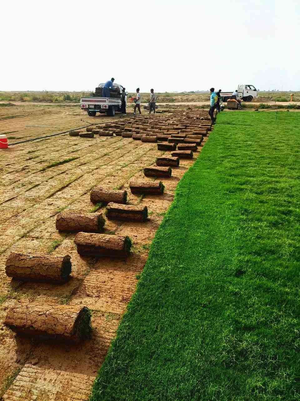 ثيل ديالى الطبيعي 
يوجد توصيل مجاني لجميع المحافظات العراق 
التواصل على  هاذا  الرقم 
***********
***********
