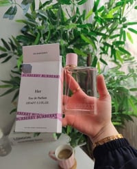 بربري هير • أصلي • فوحان